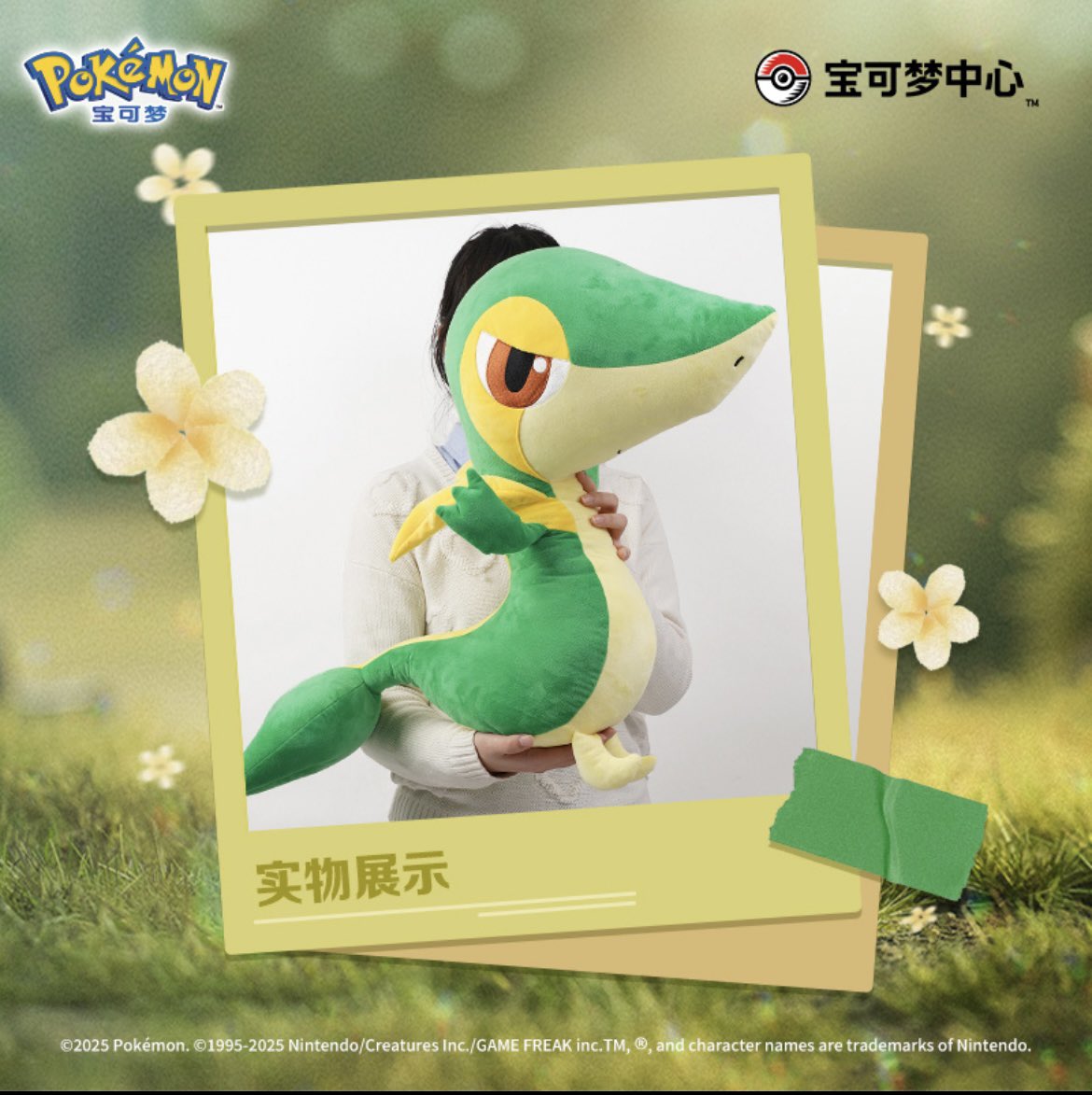 ツタージャ 初夢 ぬいぐるみ ポケモンセンター すやすや ツタージャ