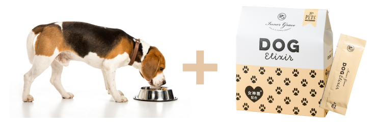 公式ペレズサプリメント[ドッグエリクサー]