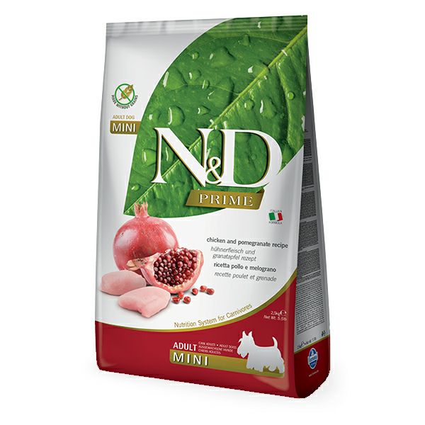 ファルミナ】 パンプキン ラム ブルーベリー入り 成犬用 800g | ペット