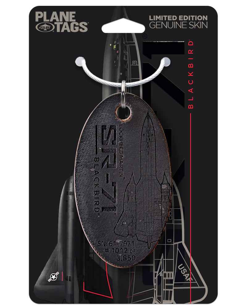 Viscount 831 Planetags 未発売三色バージョン 飛行機を購入する Tags