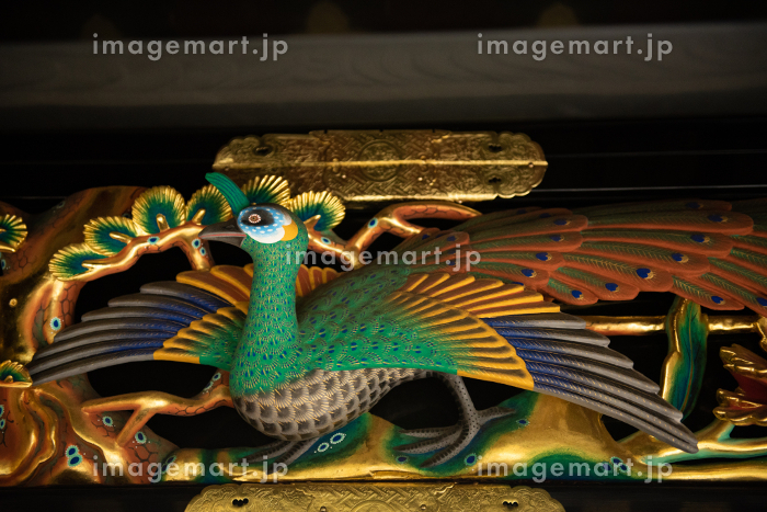 世界遺産 日光東照宮 東西回廊の鳥の彫刻の写真素材 [181432095]｜毎月