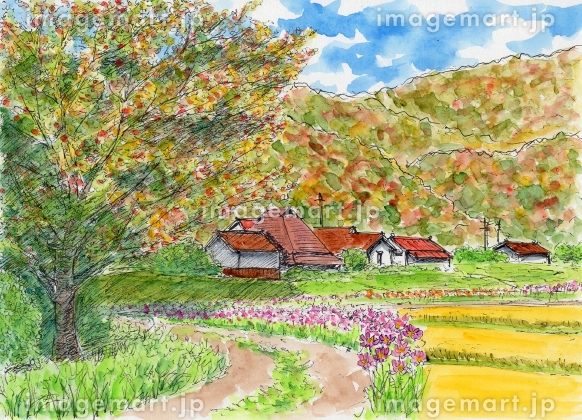 水彩画「秋の里山」 水彩画「秋の里山」 水彩画「秋の里山」