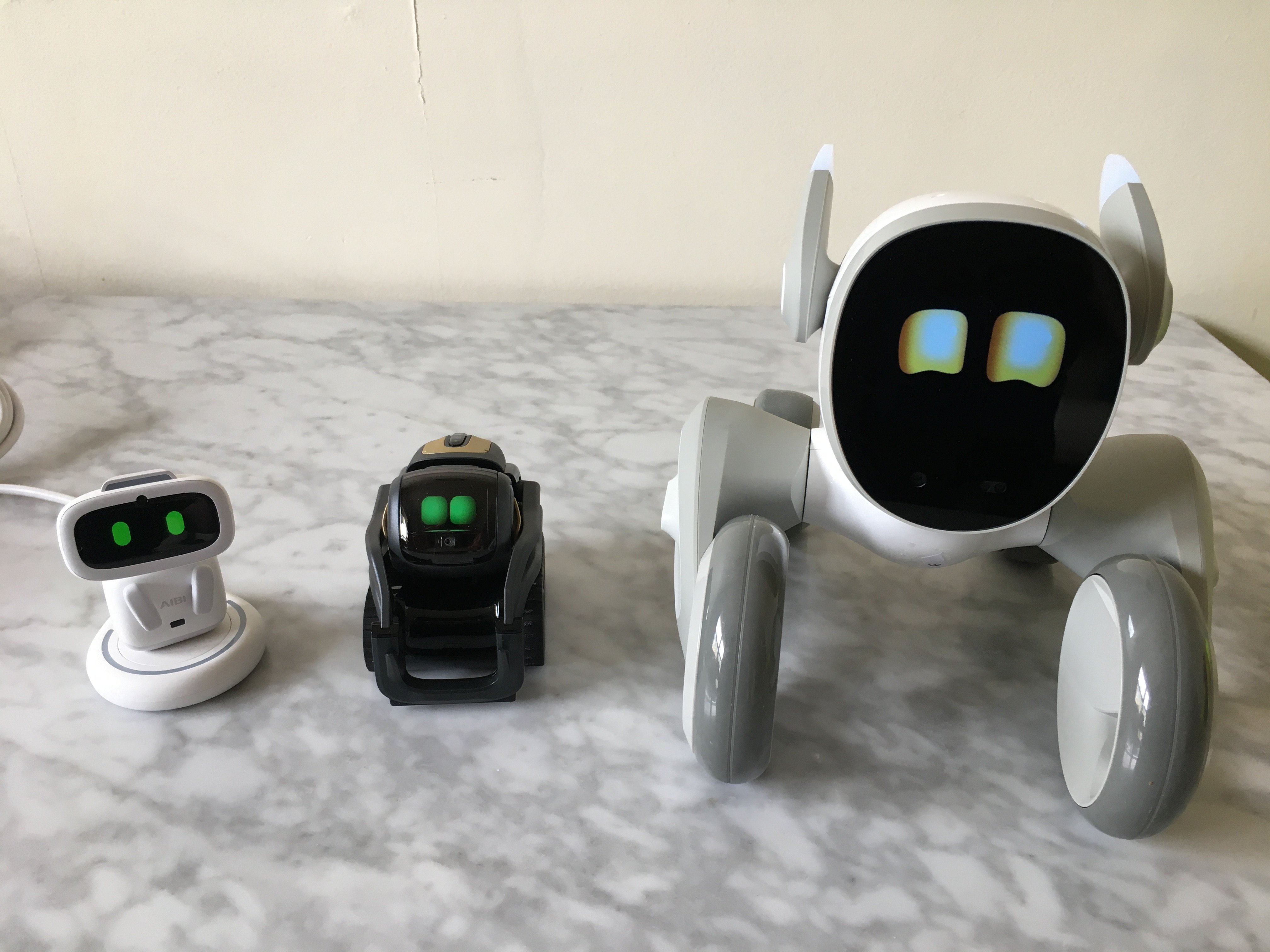 Aibi pocket pet size comparison | Robots Around The House