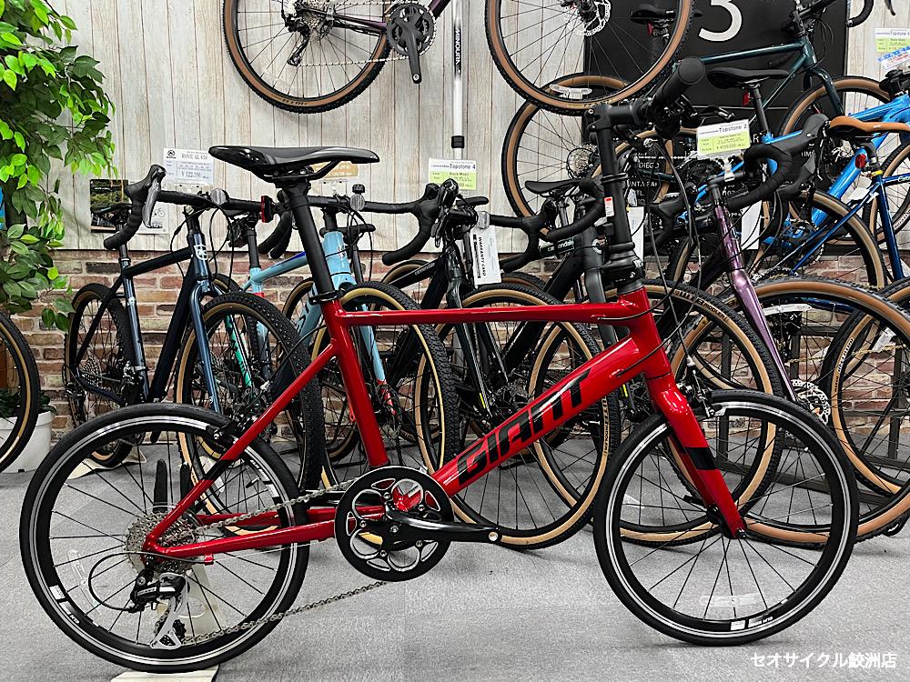 GIANT IDIOM 20インチ ミニベロ 【ミニベロ】街乗り快適！20インチ小径