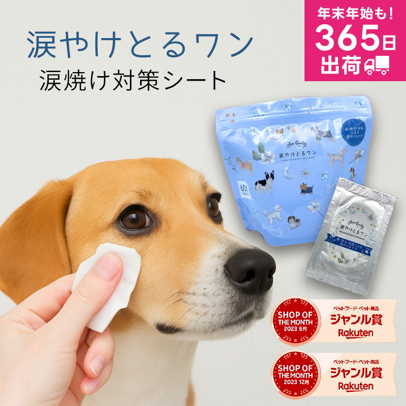 アイリッドラッシュ 涙やけ 目やにとり 犬猫用 60枚入り3個 アイリッド