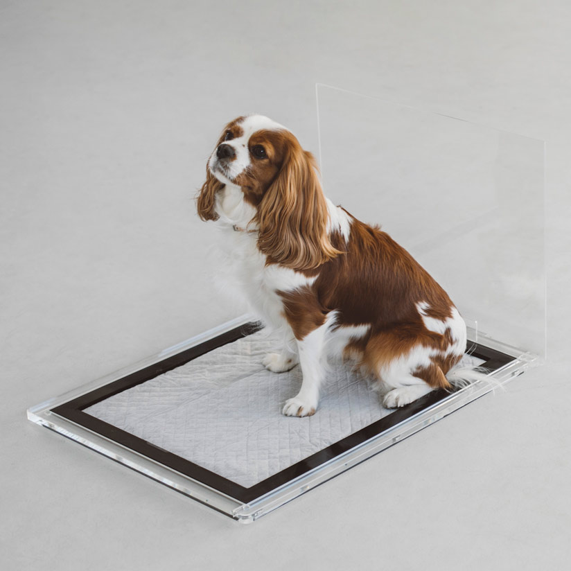 楽天市場】【犬 トイレ】トイレトレイ シート M : フリーステッチ