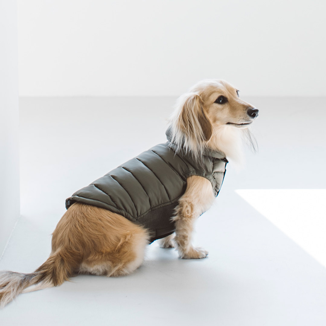 楽天市場】モンクレール ポルド ドッグ クチュール 犬用ベスト ドッグ