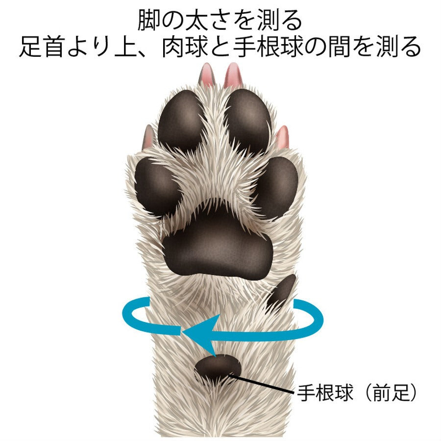 DogSoxx210(レッド) – 犬の靴屋さんDogSoxx