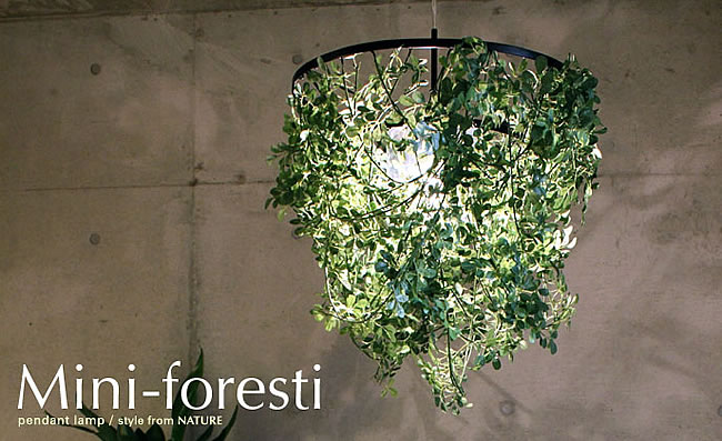 DI CLASSE（ディクラッセ） 照明器具 ポイント利用 リビング