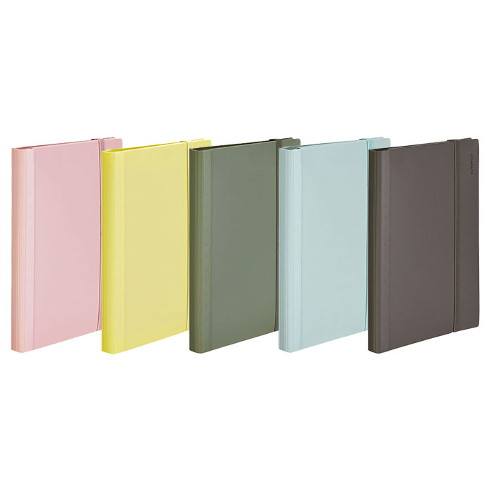 KING JIM（キングジム） カラーセレクション クリアーファイル