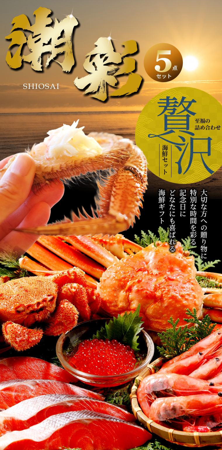 カルカン 2種セレクション・海の幸ミックス・4種のおいしさ16箱セット