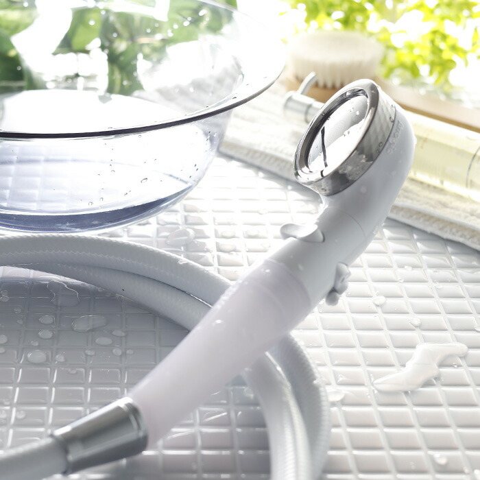 Arromic（アラミック） 特典付 節水シャワープロ・プレミアム