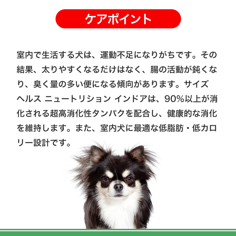 ロイヤルカナン（ROYAL CANIN） ミニ インドア アダルト 8kg / 室内で