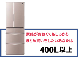 中古 262L 2ドア冷蔵庫 自動製氷機能付き National（ナショナル） Will