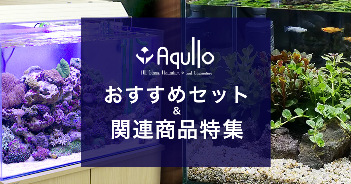 アクロ スーパークリア オーバーフロー 90cm海水水槽専用 2層式