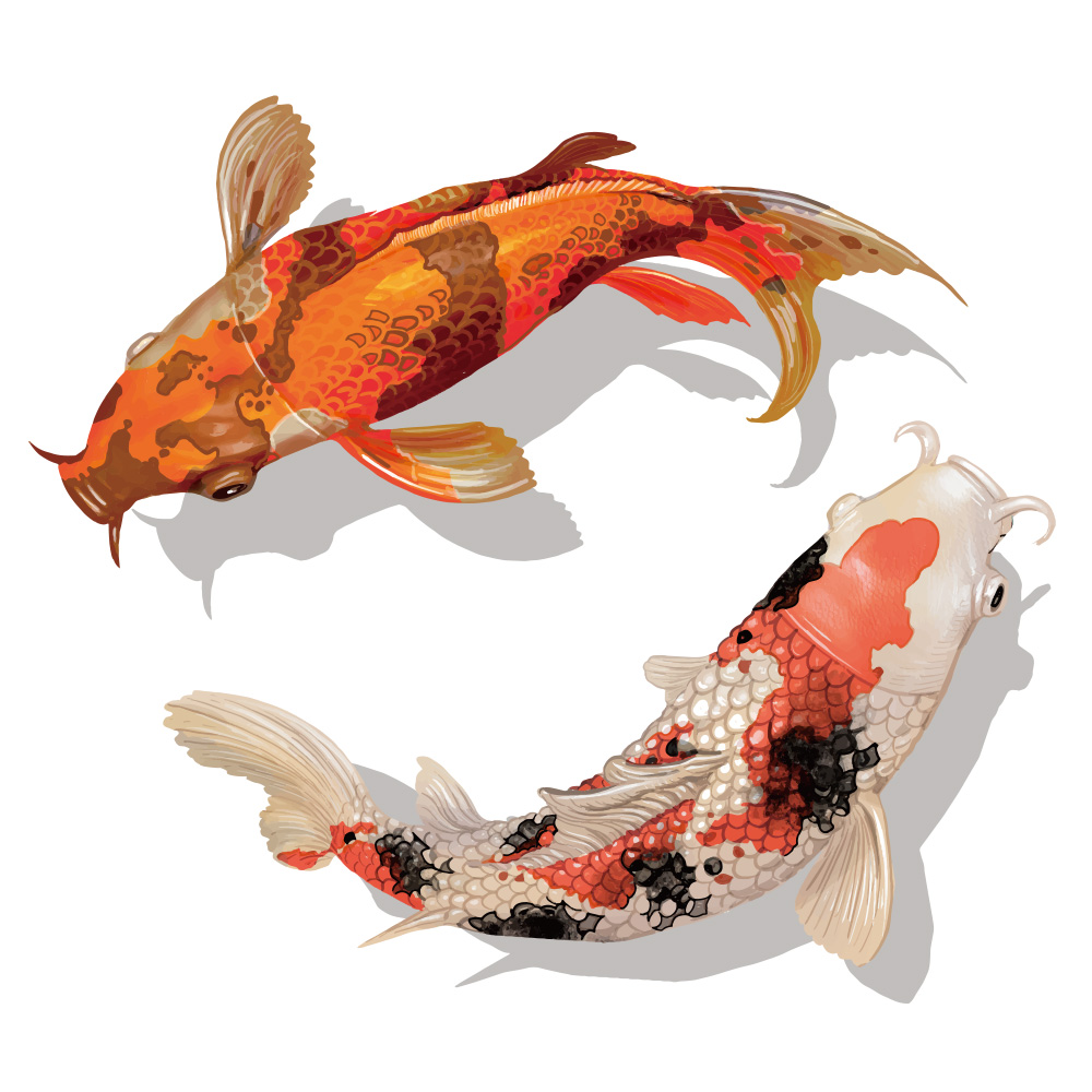 No.29100303 染色画 皆川月華「染彩 日出鯉 共シール」 蘭の花図