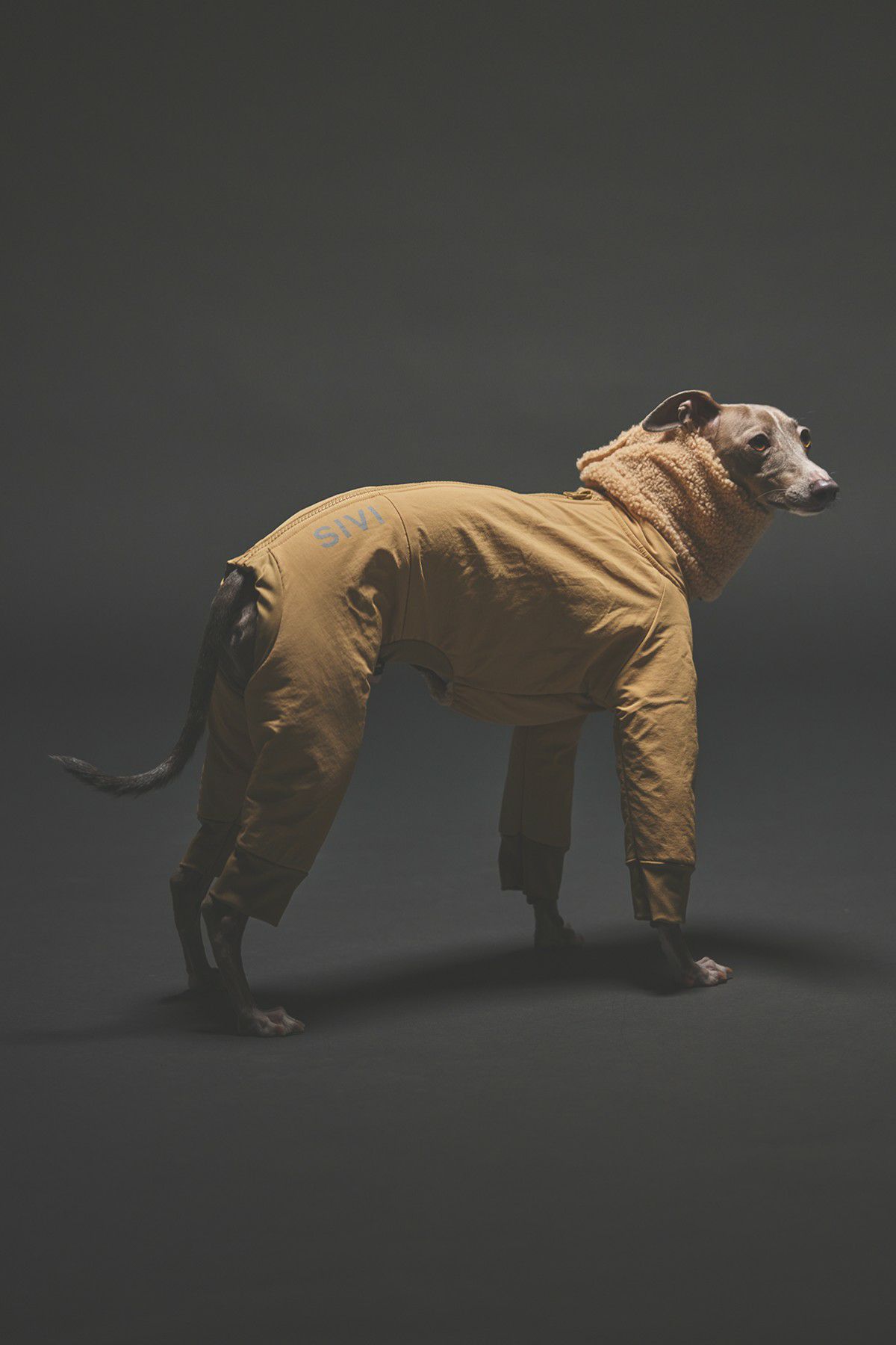 SIVI ウィンタースーツ｜撥水・防水 | SIVI｜イタグレ 服・ウィペット