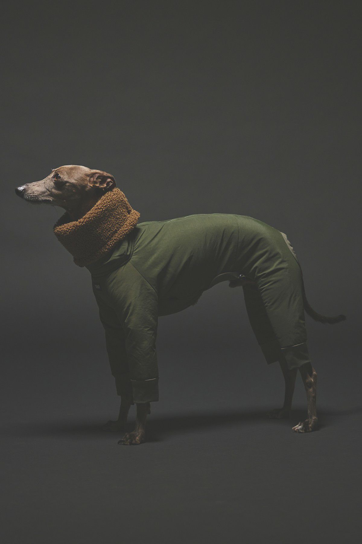 SIVI ウィンタースーツ｜撥水・防水 | SIVI｜イタグレ 服・ウィペット