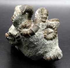 m45528570896_1.jpg?1744942416