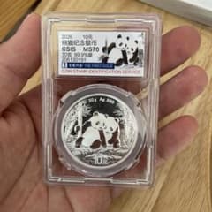 m45557603833_1.jpg?1763099929