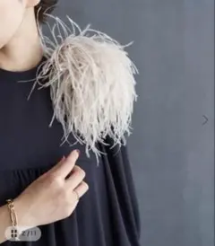 2026年最新】オーストリッチ コサージュの人気アイテム - メルカリ