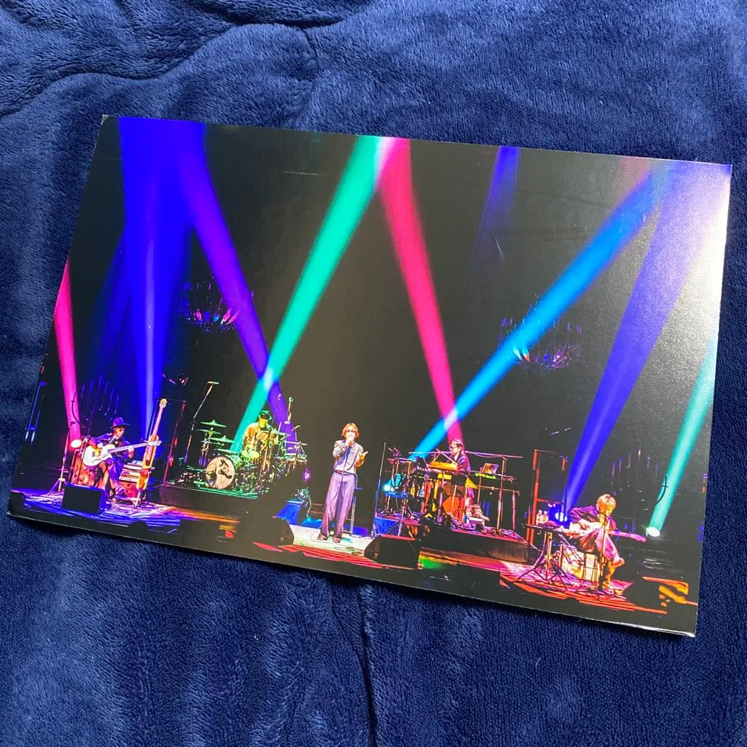 2026年最新】SuperBeaver パネルの人気アイテム - メルカリ