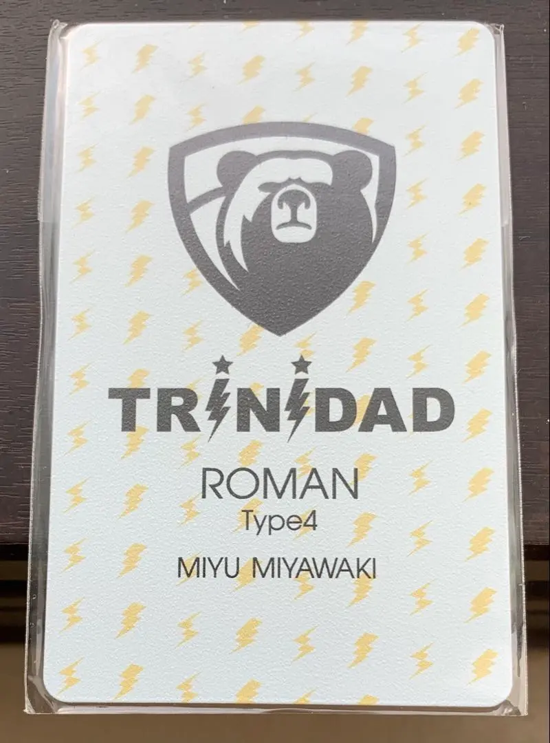 2026年最新】TRiNiDAD アイテム：ダーツライブカード ダーツの人気