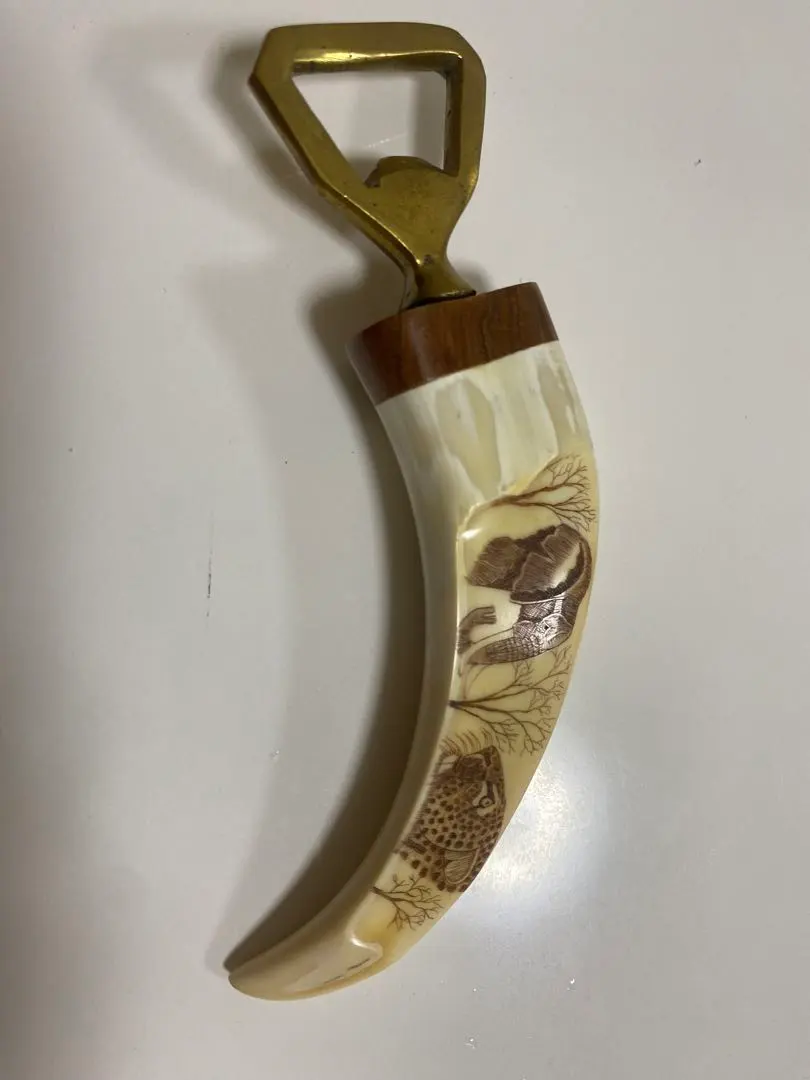 2026年最新】セイウチ牙の人気アイテム - メルカリ