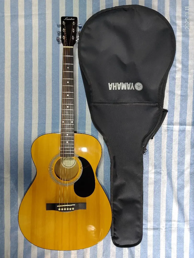 2026年最新】LUMBER ギター LFG10TSの人気アイテム - メルカリ