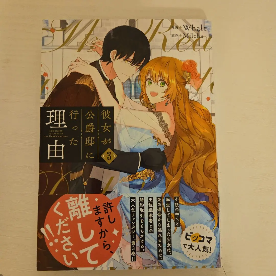 2026年最新】彼女が公爵邸に行った理由 全巻の人気アイテム - メルカリ