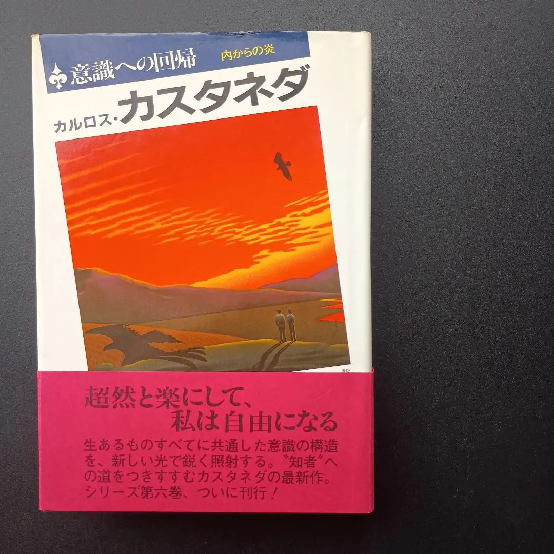 2026年最新】カルロス・カスタネダの人気アイテム - メルカリ