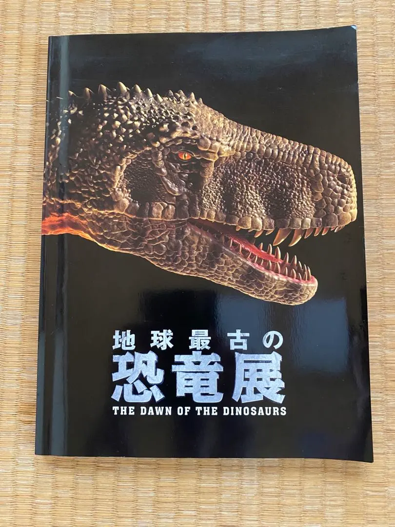 ①恐竜ジグソーパズル プテラノドン他17名 アルミ額50×74㎝完成品 極美