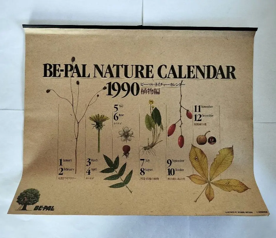 2026年最新】古いビーパルの人気アイテム - メルカリ