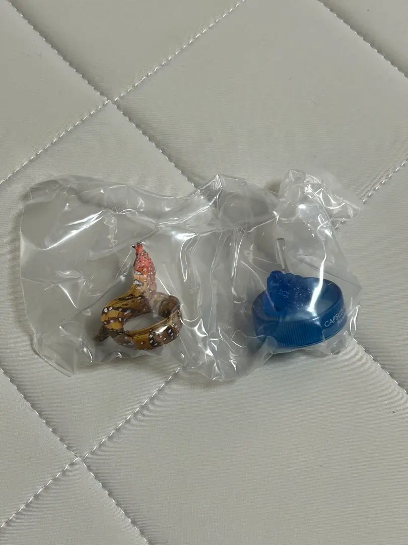 2026年最新】トラウツボの人気アイテム - メルカリ