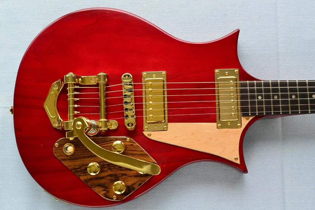 2026年最新】sx アコースティックギターの人気アイテム - メルカリ