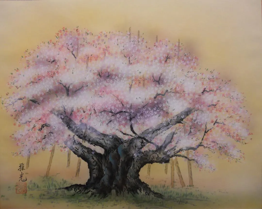 永縄雅光『淡墨桜』掛軸〔真作の絹本手彩色〕/ 茶掛け