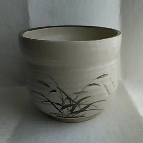 2026年最新】甕 メダカの人気アイテム - メルカリ