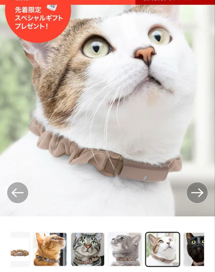 2026年最新】catlog homeの人気アイテム - メルカリ