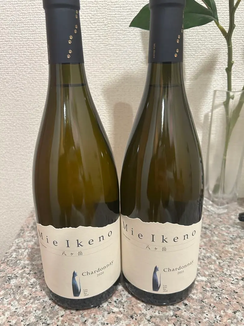 2026年最新】ミエイケノ シャルドネの人気アイテム - メルカリ