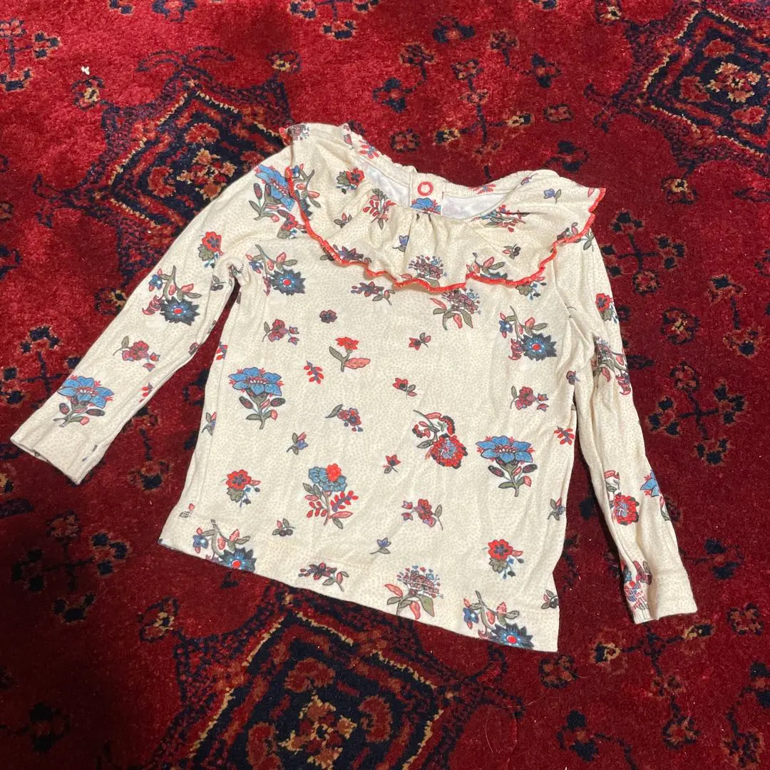 misha&puff 白毒花 スカウト 2y