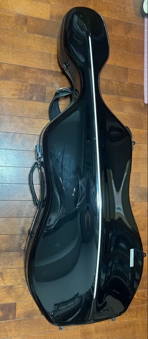 2026年最新】gewa チェロケースの人気アイテム - メルカリ