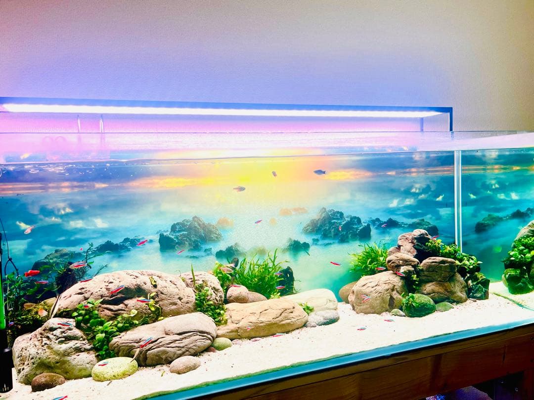 WRGB II SLIM120 LED水草ライト 90W