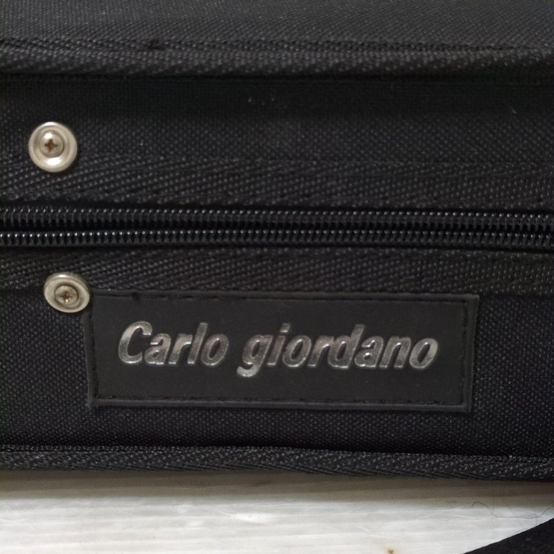 Carlo giordano EV-202 カルロジョルダーノ エレキバイオリン