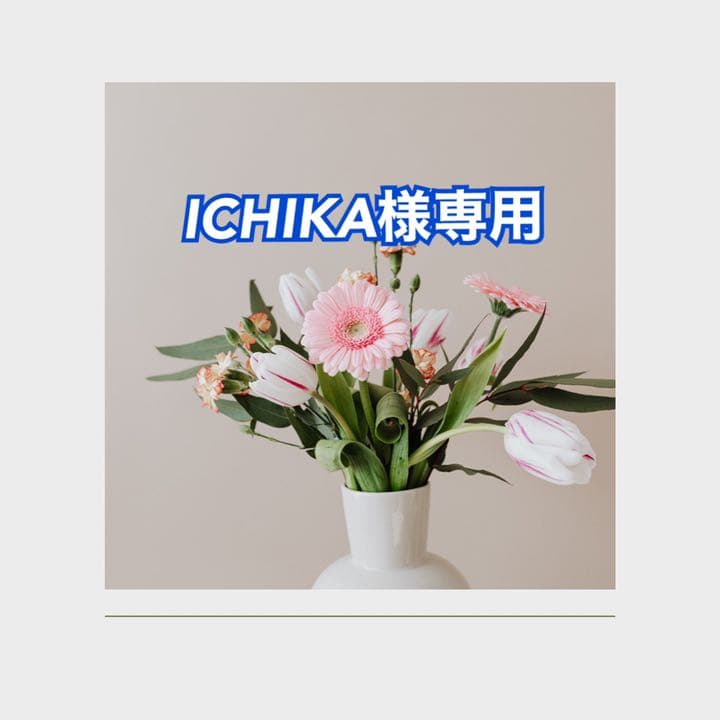 ICHIKA様専用 卸売 ichika様専用 ICHIKA様専用ページ - メルカリ