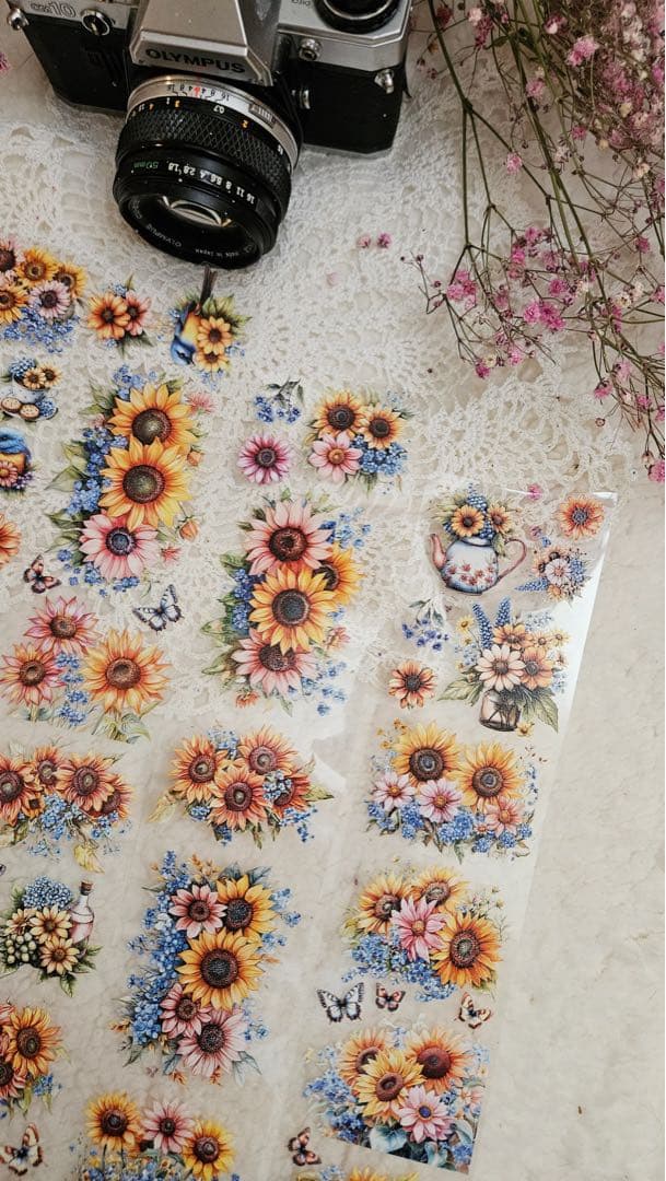 Lana´s Scrap Shop 海外マスキングテープ マステ 【2414】