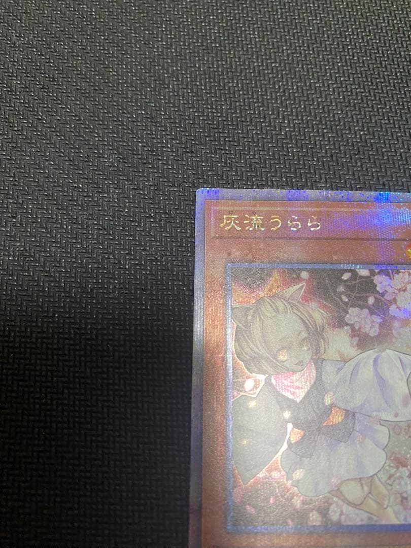 遊戯王　灰流うらら 25th クオシク　レアコレ