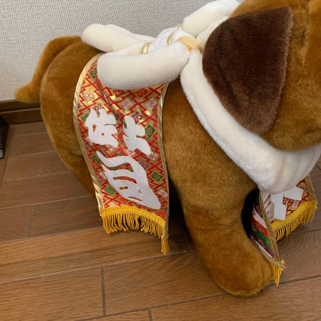 土佐犬ぬいぐるみ【闘犬】