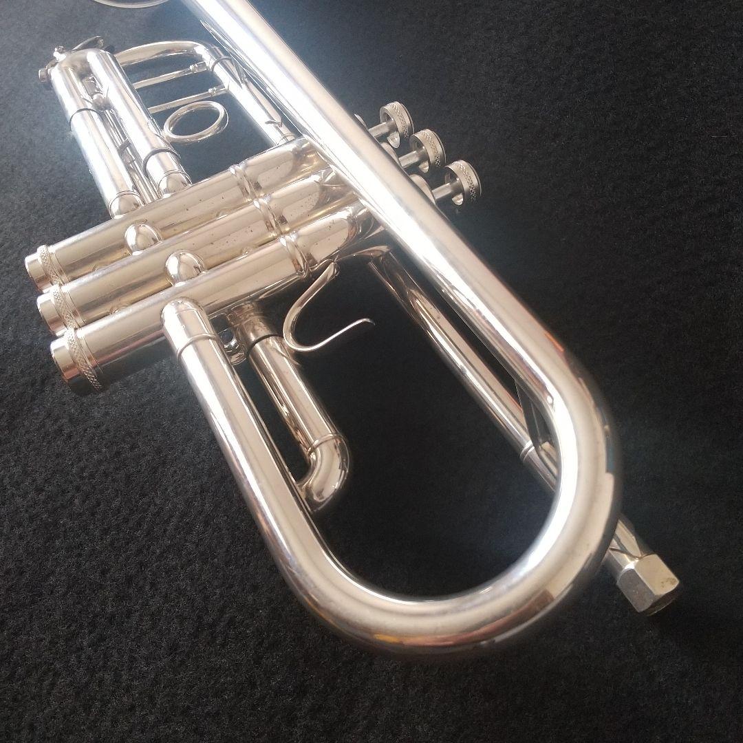 マルカートソフィアシリーズ。ヘビートリムキット付属