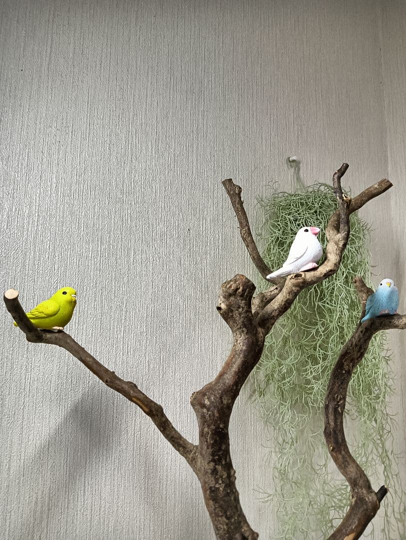 流木527 小鳥止まり木 卓上 バードアスレチック