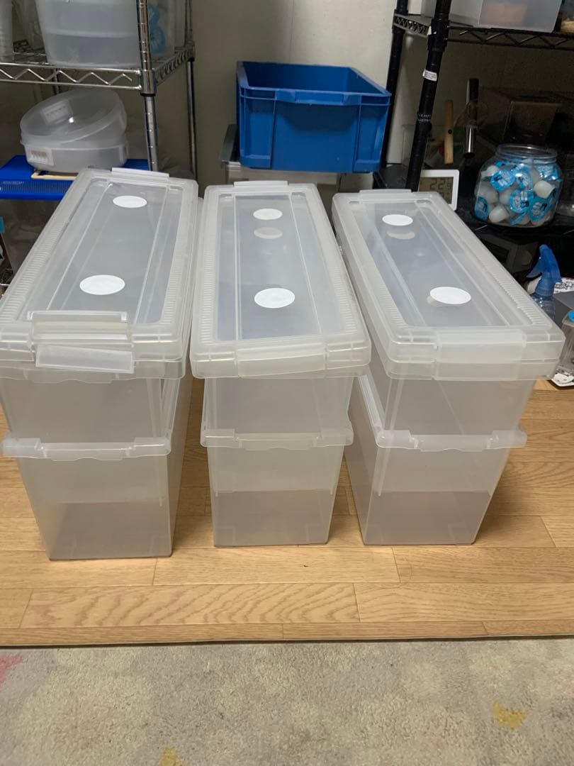 ヘラクレス幼虫飼育ケースいれと庫(文庫本）使用品7個シューズケース6